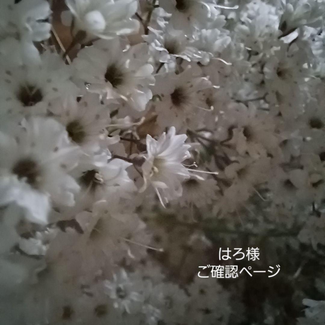 はろ様 リクエスト 2点 おまとめ ドライフラワー リース