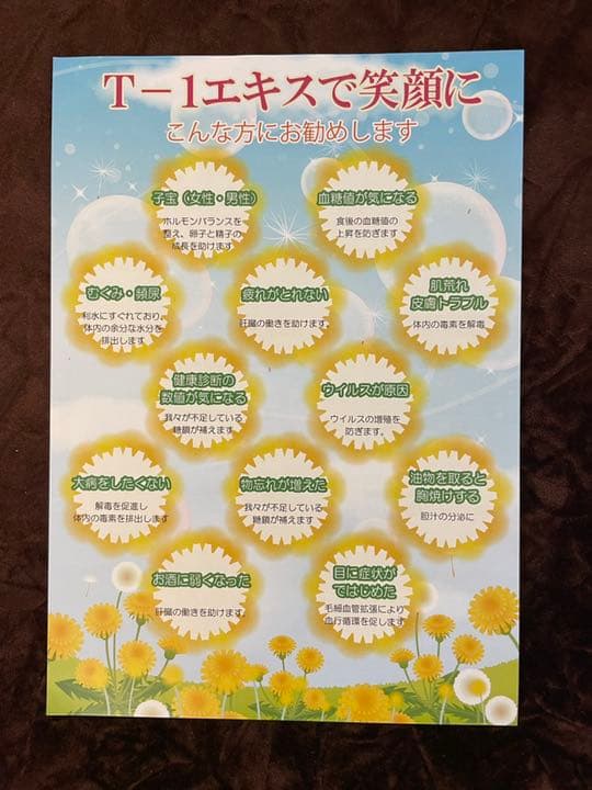 【正規品】タンポポ茶 たんぽぽ茶　ショウキT-1エキス 2箱　サポート付き