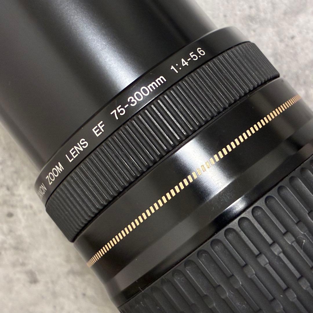 ⭐️美品⭐️Canon EF 75-300 USM & EF-EOS M アダプター