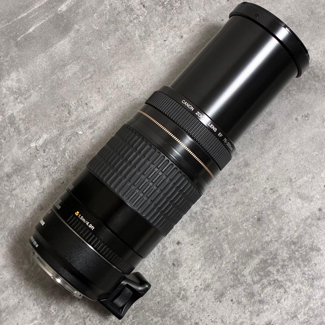⭐️美品⭐️Canon EF 75-300 USM & EF-EOS M アダプター