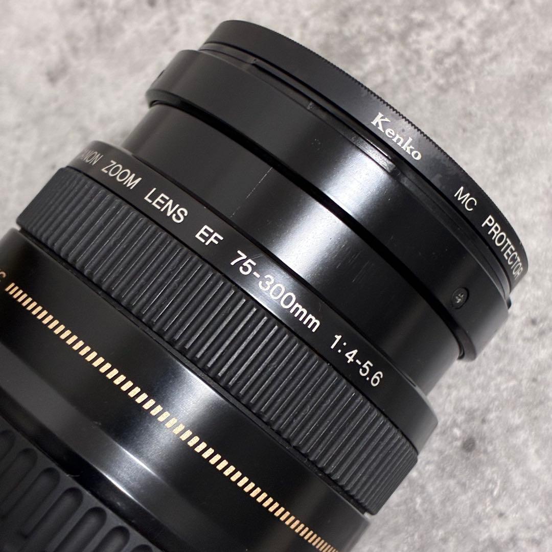 ⭐️美品⭐️Canon EF 75-300 USM & EF-EOS M アダプター