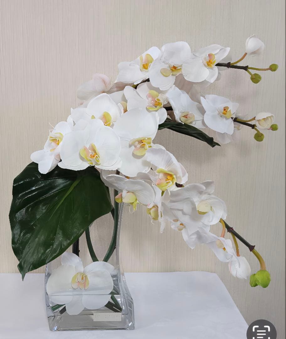 光触媒　観葉植物　フェイクグリーン　エミリオロバ　ファレノプシス4L 胡蝶蘭