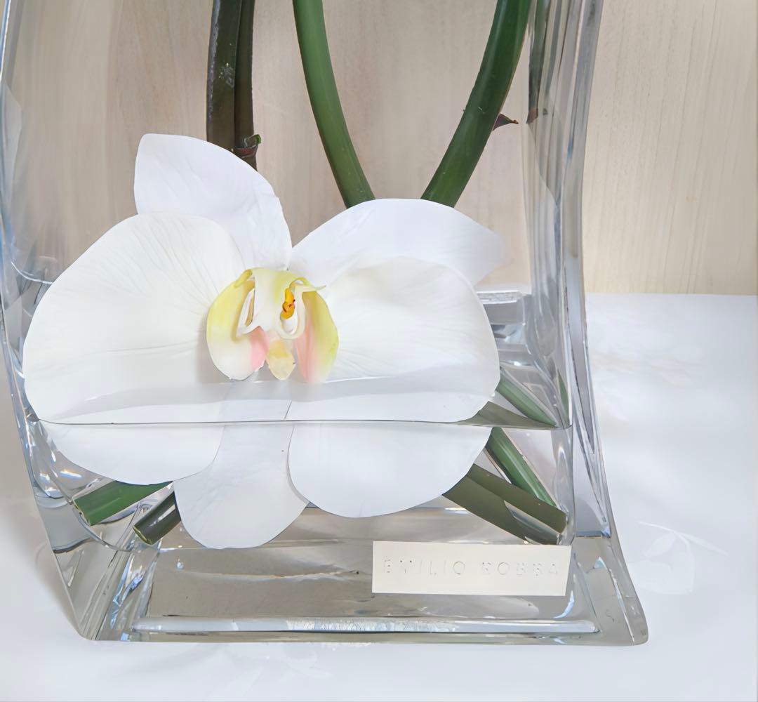 光触媒　観葉植物　フェイクグリーン　エミリオロバ　ファレノプシス4L 胡蝶蘭