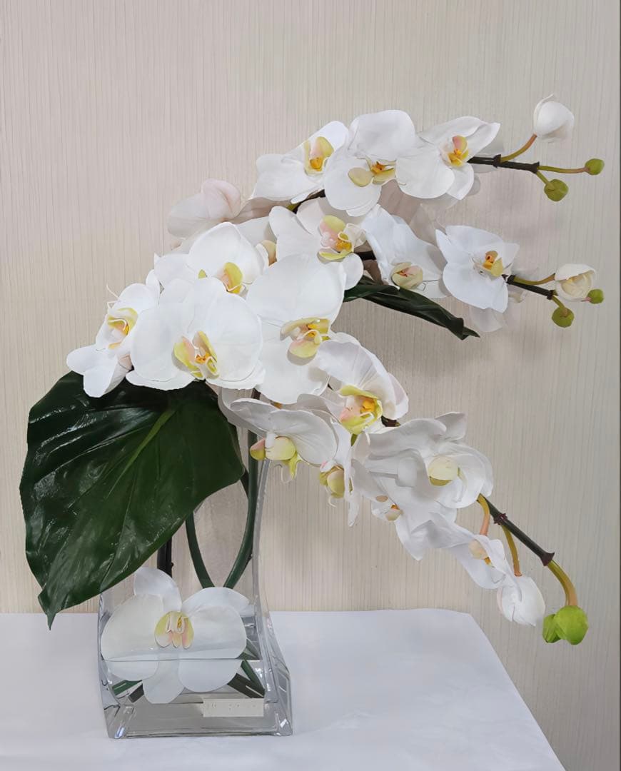 光触媒　観葉植物　フェイクグリーン　エミリオロバ　ファレノプシス4L 胡蝶蘭