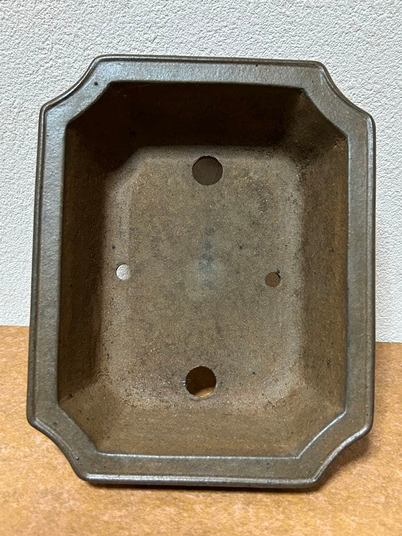 小松泉 秋静庵 小品盆栽 山野草