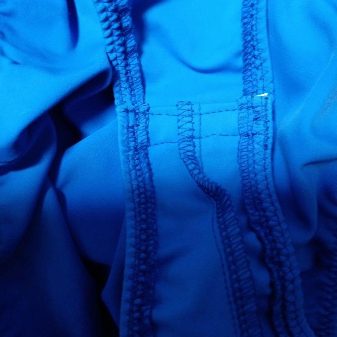 とりです。　ラテンドレス競技会、デモ用