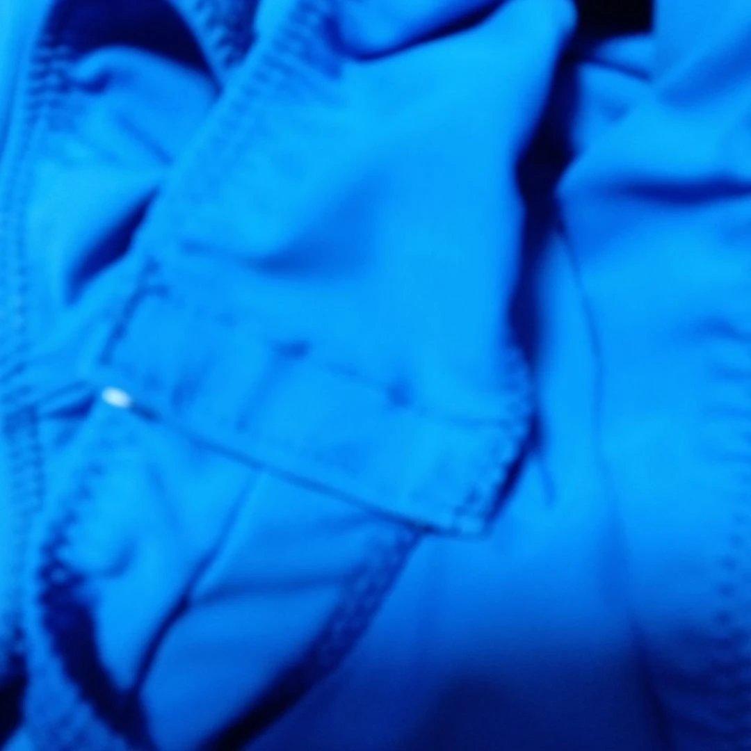 とりです。　ラテンドレス競技会、デモ用