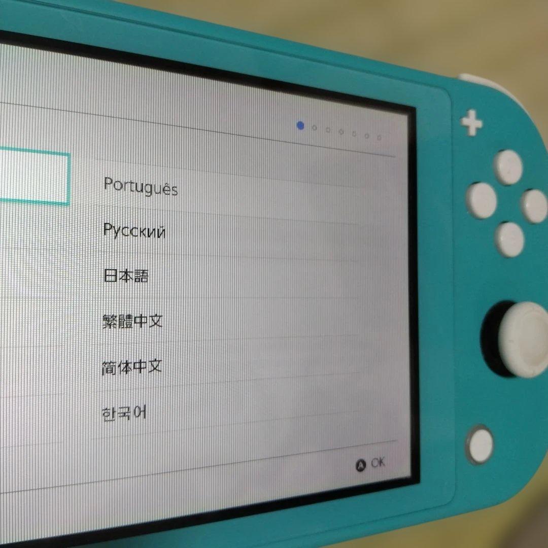 Nintendo Switch Lite ターコイズ 本体　ライト　ジャンク