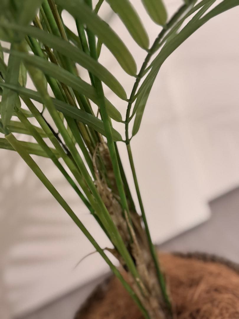 Prima フェイクグリーン 観葉植物 アレカヤシ