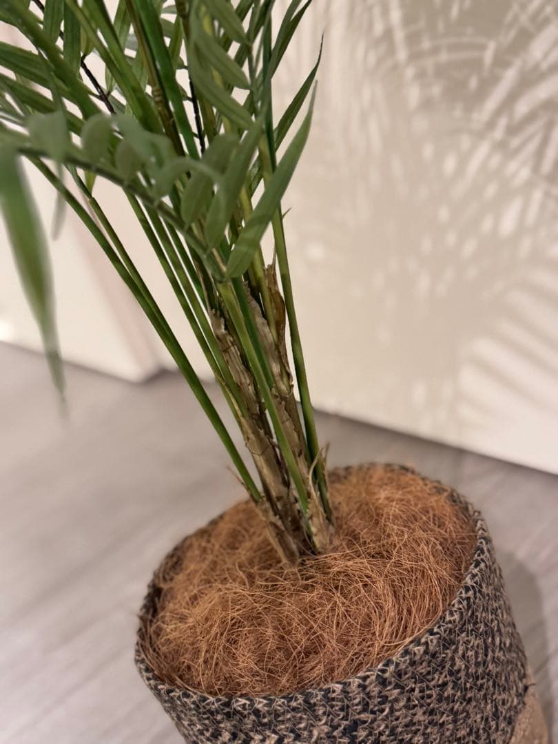 Prima フェイクグリーン 観葉植物 アレカヤシ