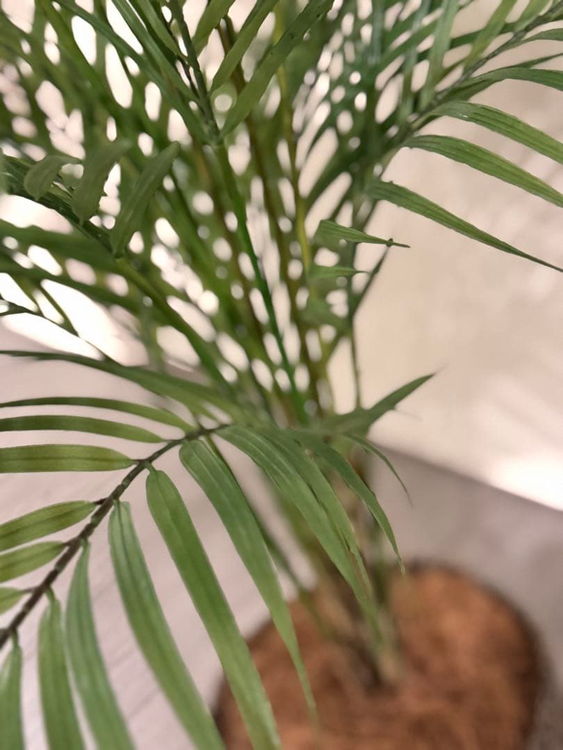 Prima フェイクグリーン 観葉植物 アレカヤシ