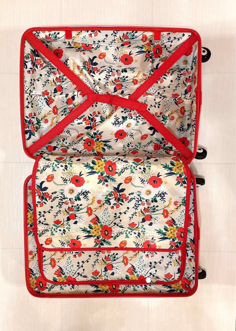 【未使用タグ付き】ACE HaNT マイン47L キャリーバッグ TSロック