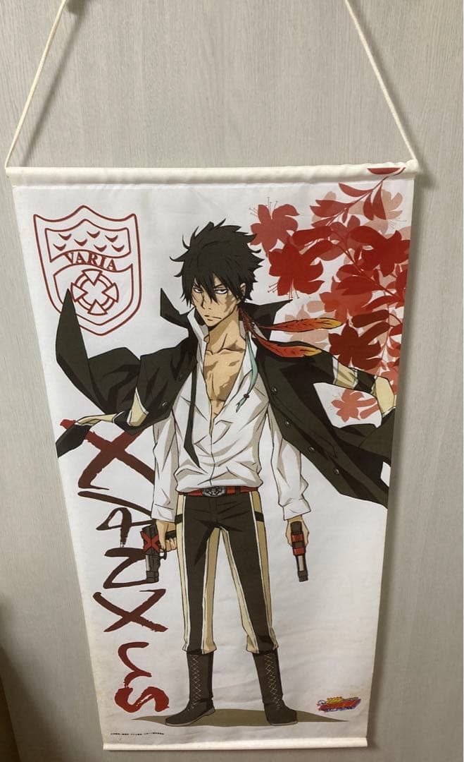 XANXUS タペストリー 家庭教師ヒットマンREBORN！ ザンザス 全身