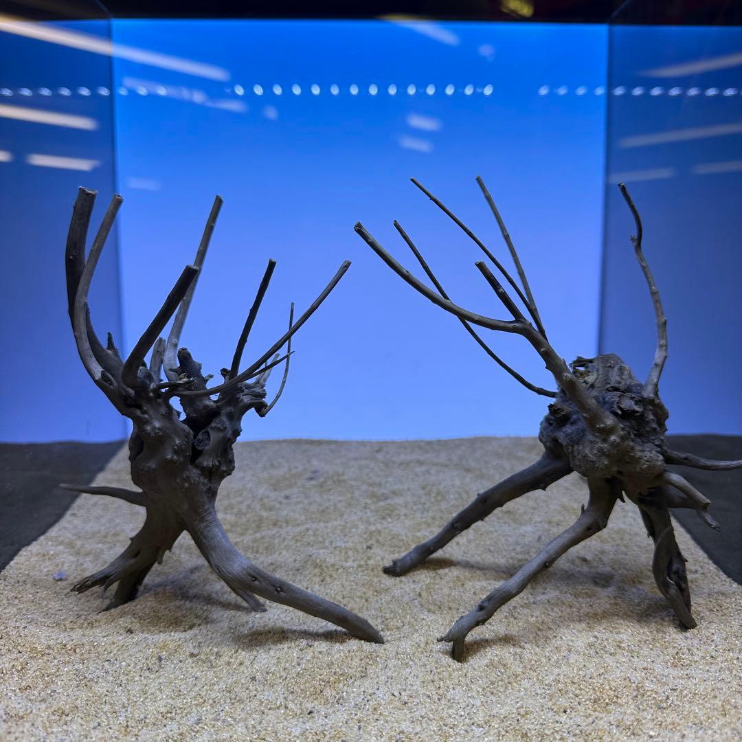 MDW-7278 ブランチウッド(ブラック)2本セット 枝流木 アクアリウム