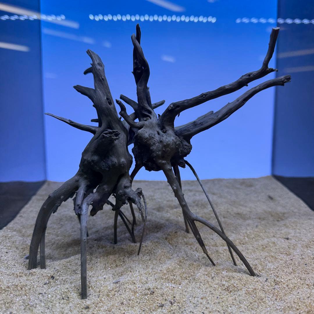 MDW-7278 ブランチウッド(ブラック)2本セット 枝流木 アクアリウム