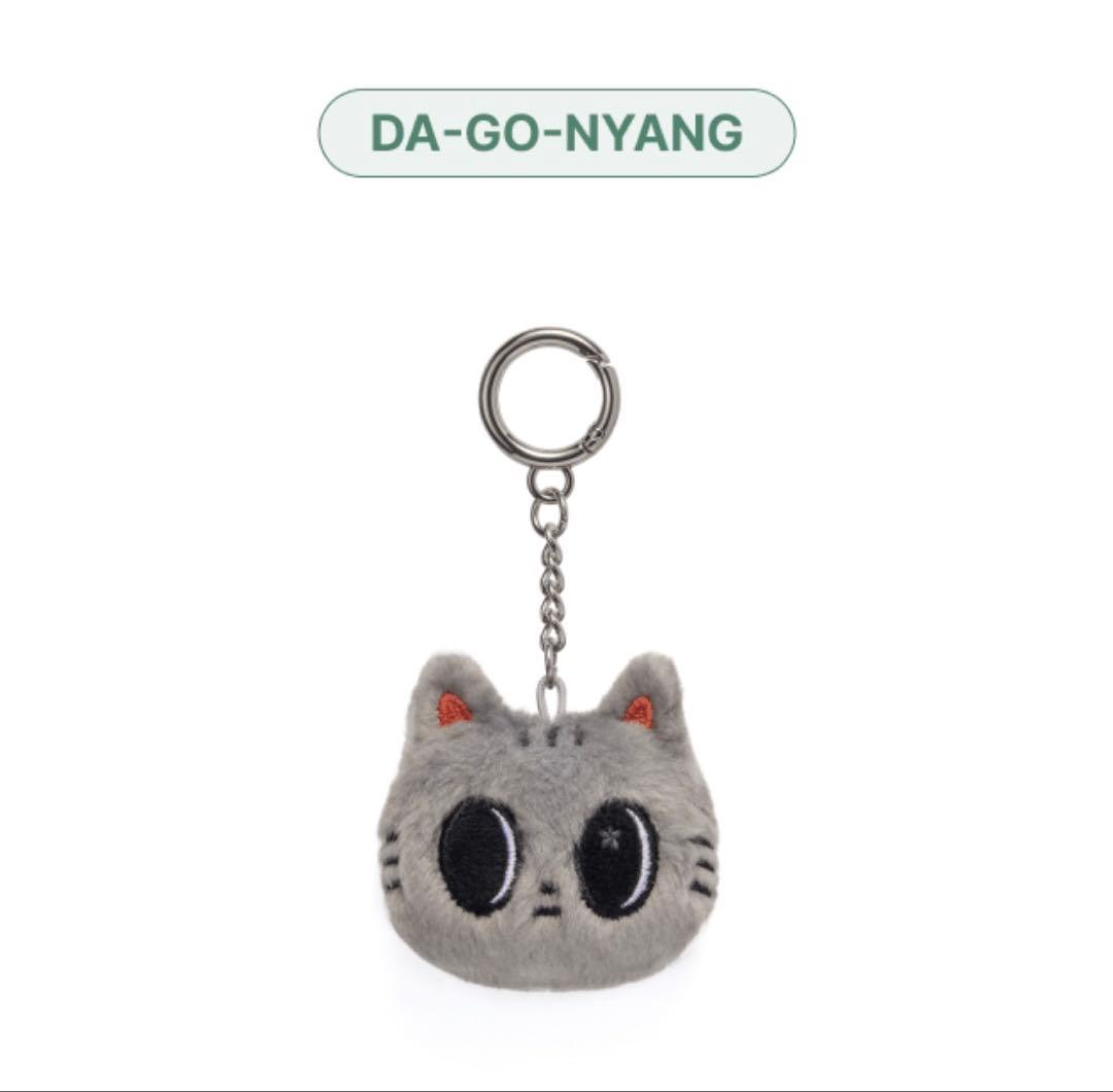 TXT テヒョン ダゴニャン プルバトゥ フェイスキーリング PPULBATU