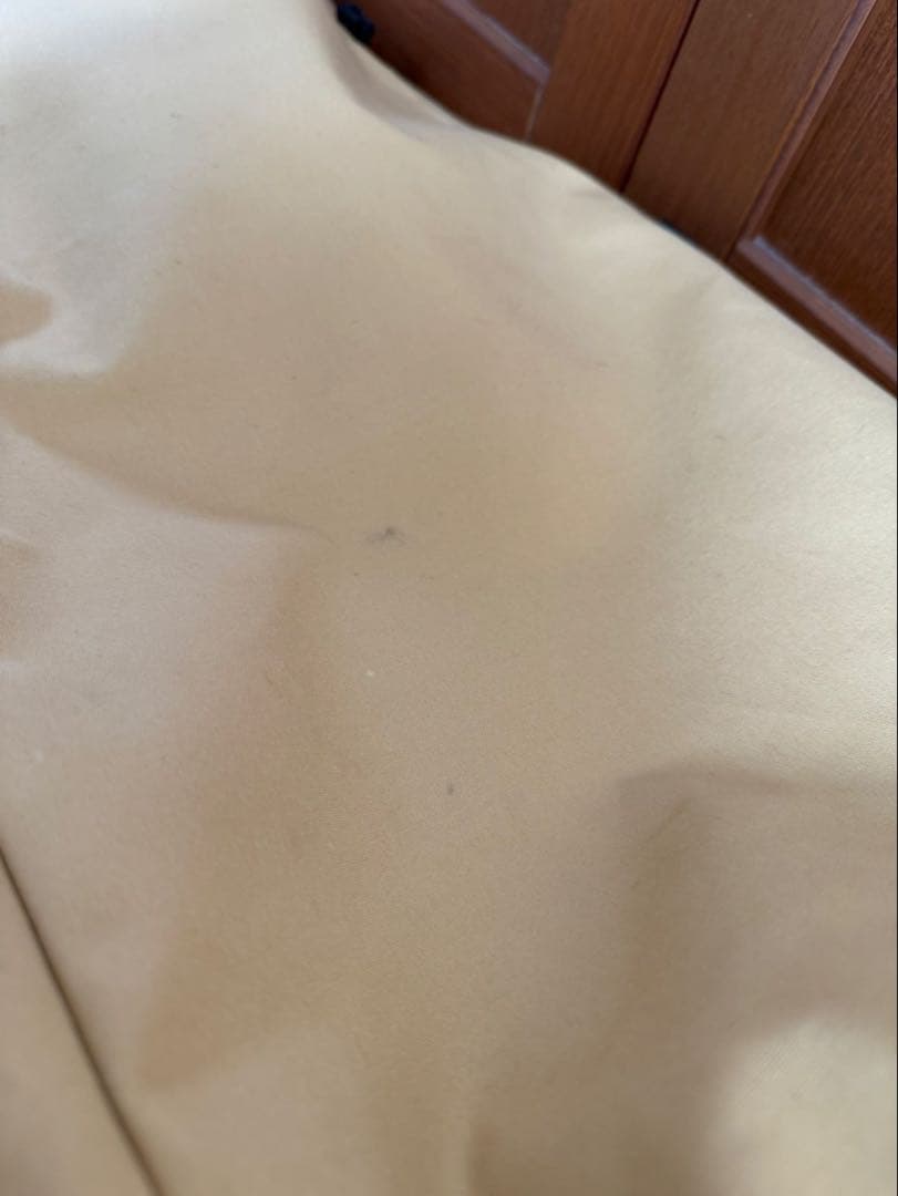 テンティピ ジルコン7CP