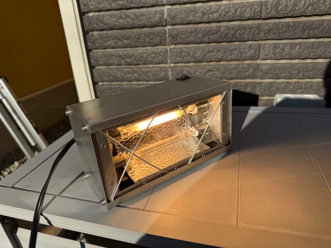 スキー　ハロゲンワクサー　カンダハー