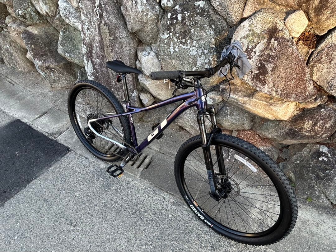 【超美品】AVALANCHE EXPERT V2（アバランチェエキスパートV2）