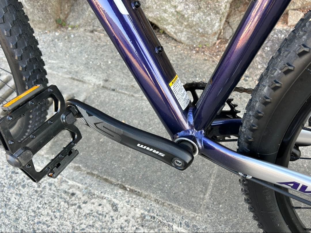 【超美品】AVALANCHE EXPERT V2（アバランチェエキスパートV2）