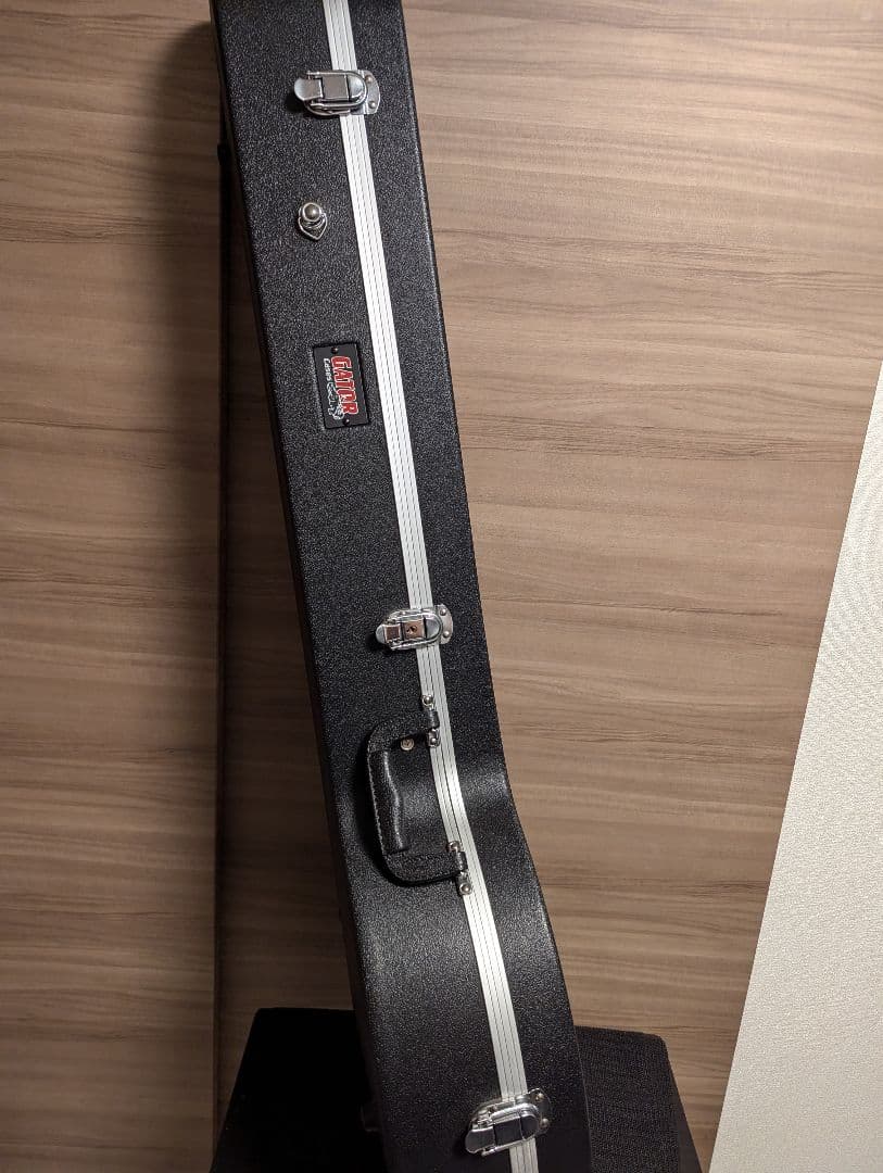 たけ DEERING Goodtime Solana 6