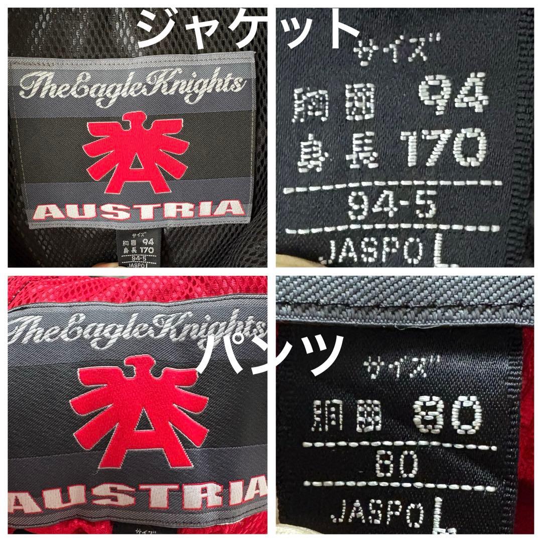 asics オーストリアチーム　スキーウェア　スノボウェア　ビンテージ　メンズL