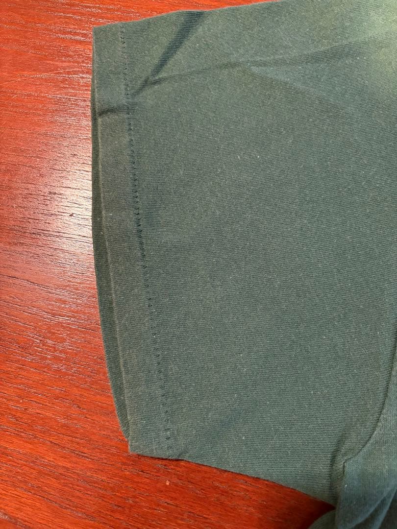 Green Day 90s Dookie ヴィンテージTシャツ USA製 L