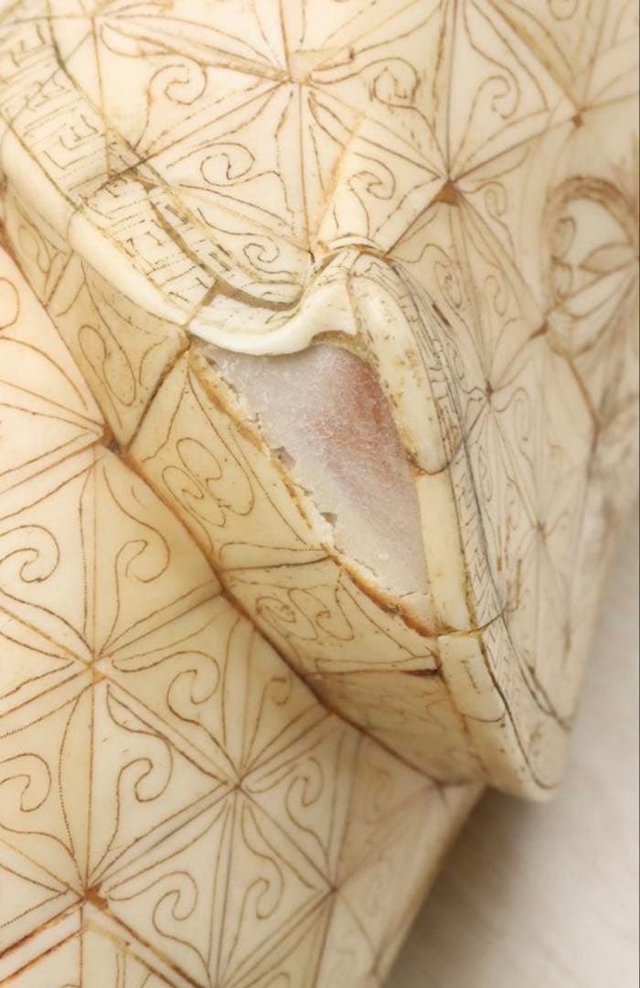 中国古美術品　清の時代　骨製 観音菩薩立像 H56.2×W15.3×12.5cm