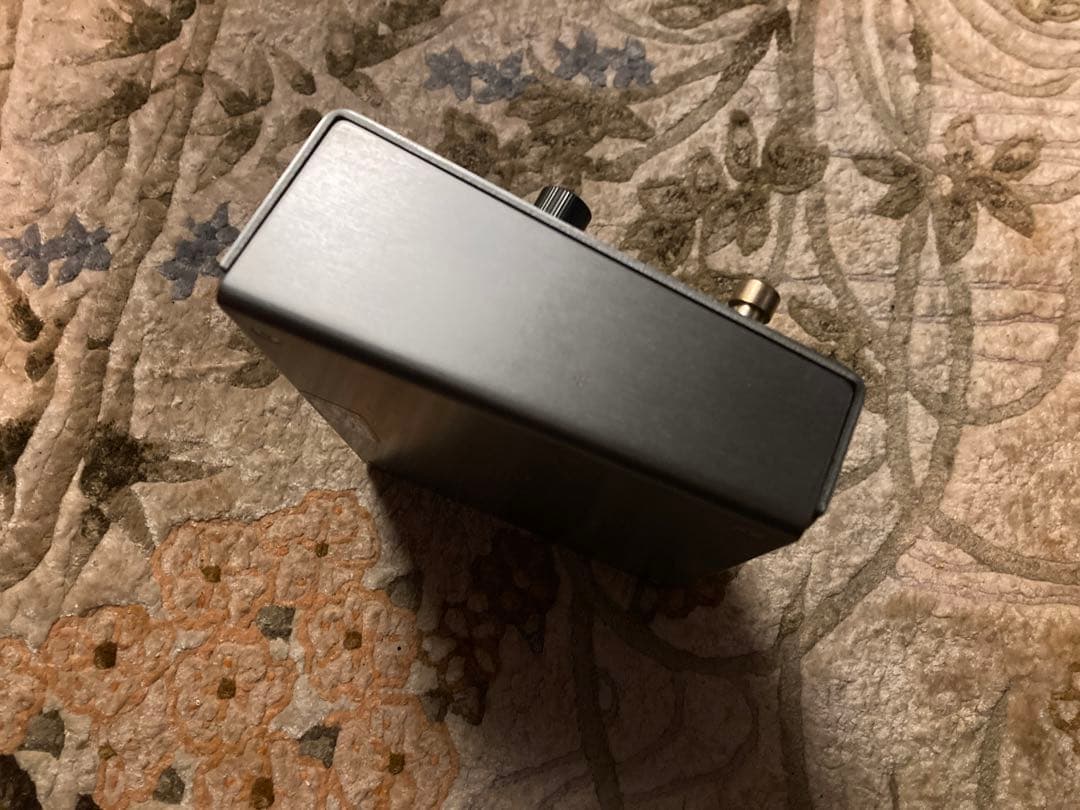 strymon Timeline ストライモン