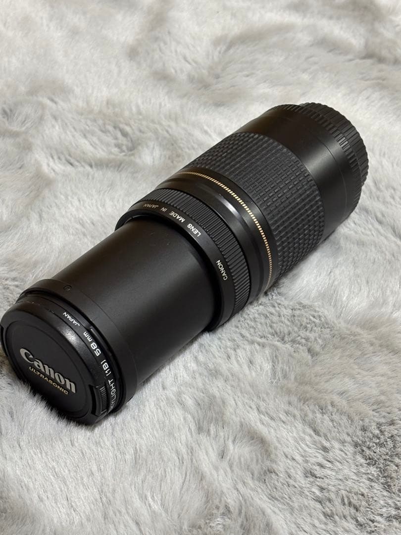キャノン☆CANON EF 75-300mm F4-5.6 II