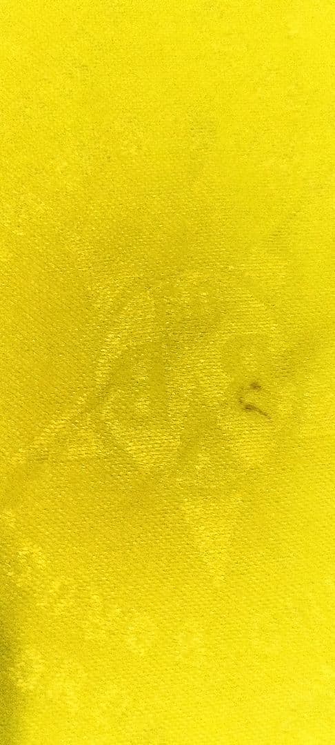 【激レア】ドルトムント94-95  H    ホーム