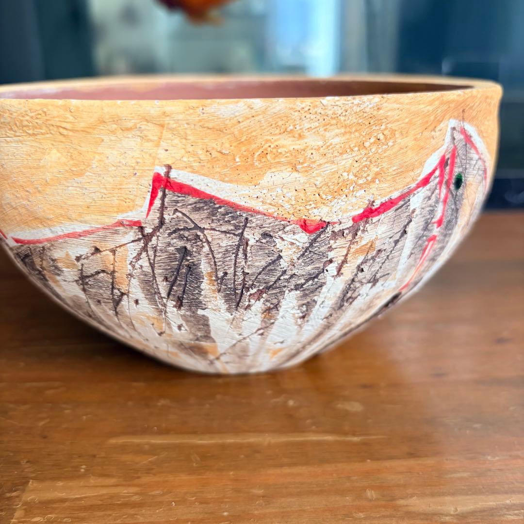 沼野秀章 / 刻ム音 / 5号　新品未使用　アガベ　グラキリス