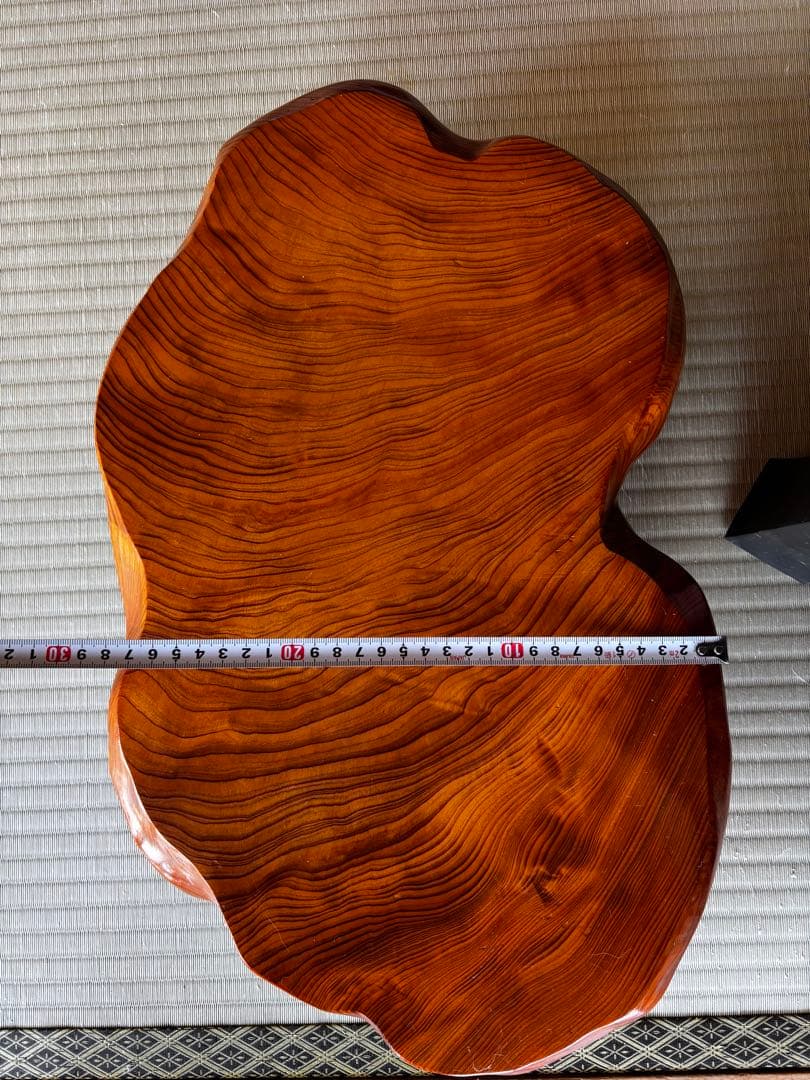 強い嵐！屋久杉　花台