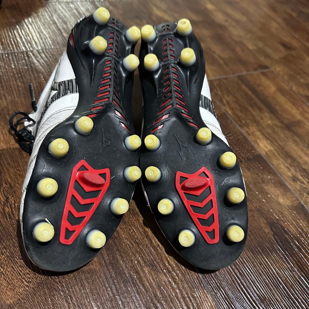 24.0cm モレリアネオ4