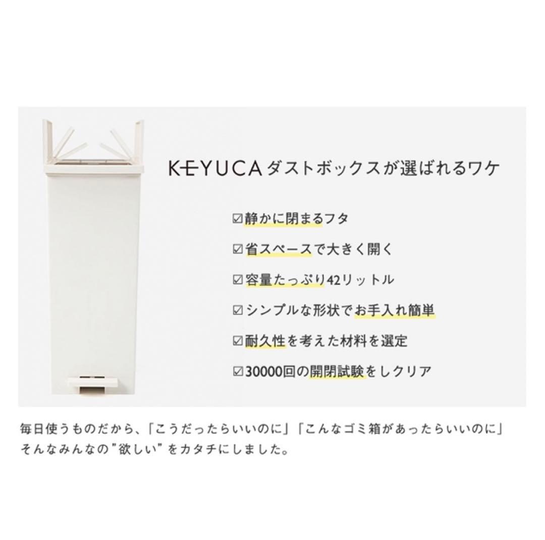 【都内引取】KEYUCA ケユカ ゴミ箱 45L×2(内、1つは未使用)