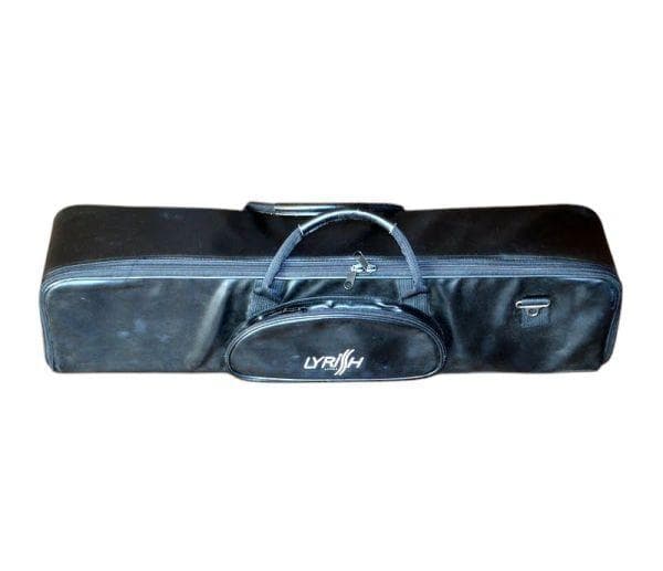 匿名配送☆大正琴 ライリッシュ LSS75 日本製 弦楽器 保管品 ケース付