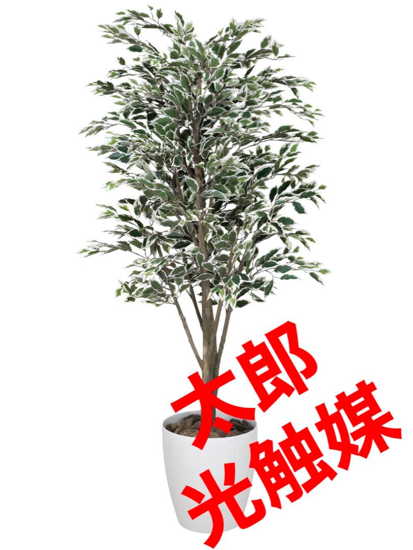 光触媒　人工観葉植物　フェイクグリーン　ベンジャミンツリー斑入リ 1.8m