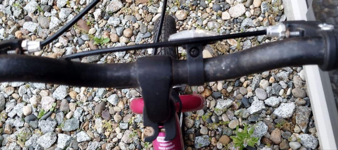 ストライダー 14X フューシャピンク キッズスポーツバイク