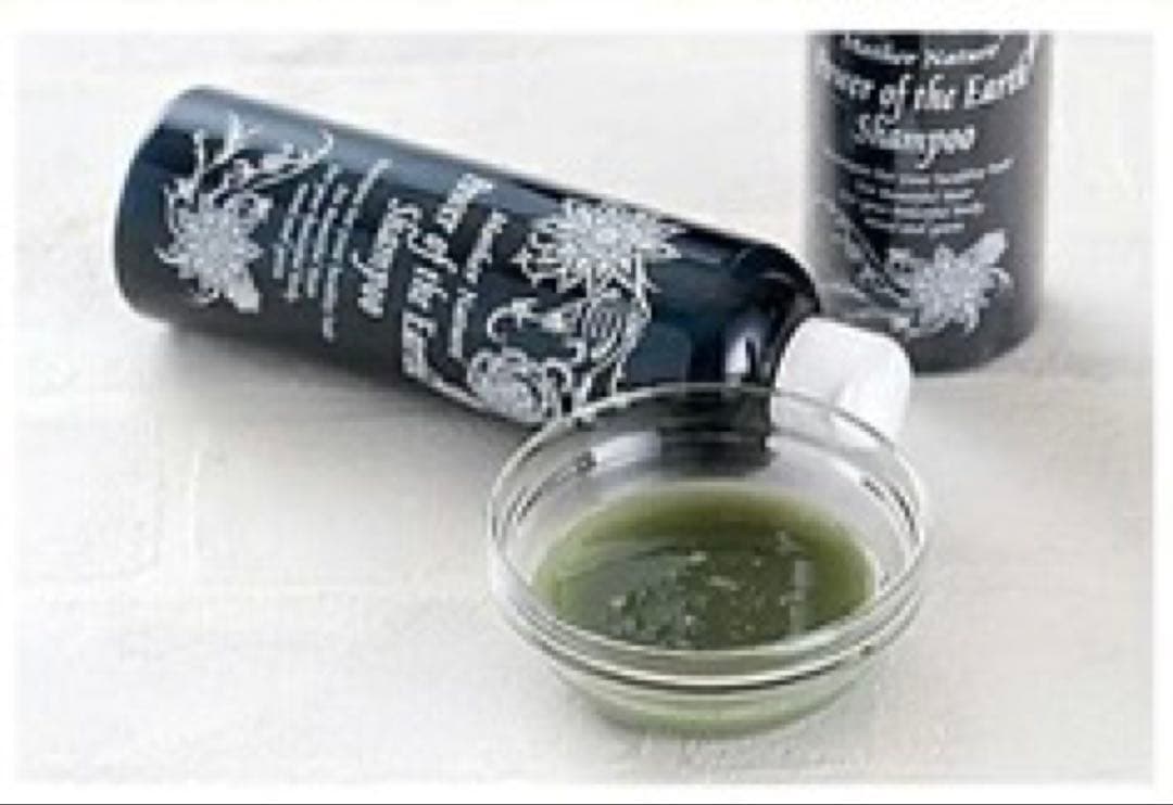 特価 大地の力シャンプー 300ml✖️2本セット エドガー・ケイシー療法