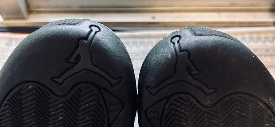 アメリカで購入☆NIKE Air Jordan12レトロ W.N.T.R