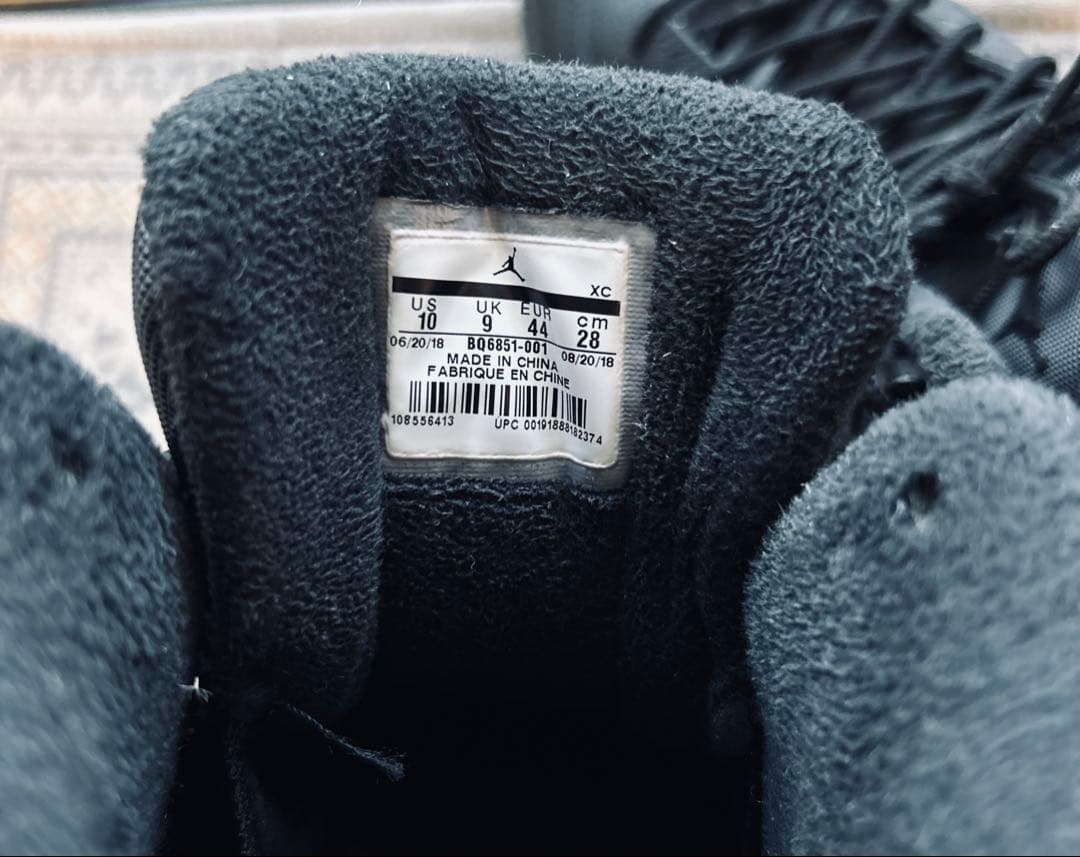 アメリカで購入☆NIKE Air Jordan12レトロ W.N.T.R