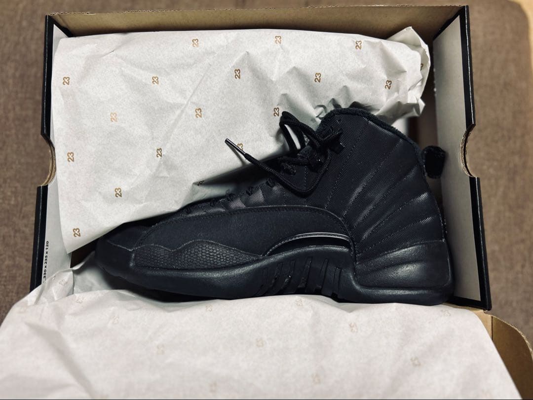 アメリカで購入☆NIKE Air Jordan12レトロ W.N.T.R