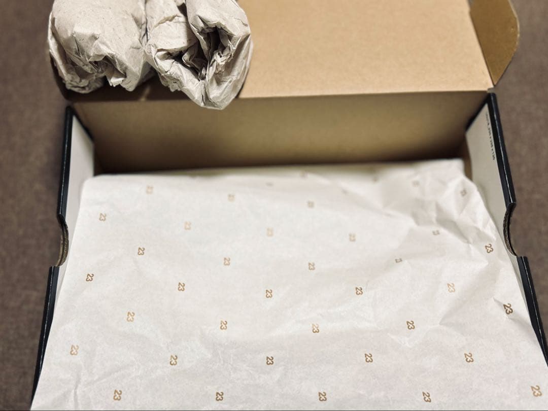 アメリカで購入☆NIKE Air Jordan12レトロ W.N.T.R