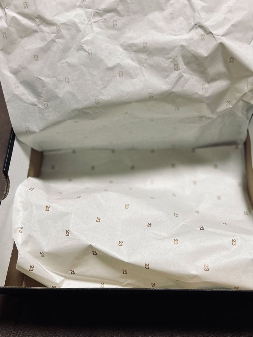 アメリカで購入☆NIKE Air Jordan12レトロ W.N.T.R