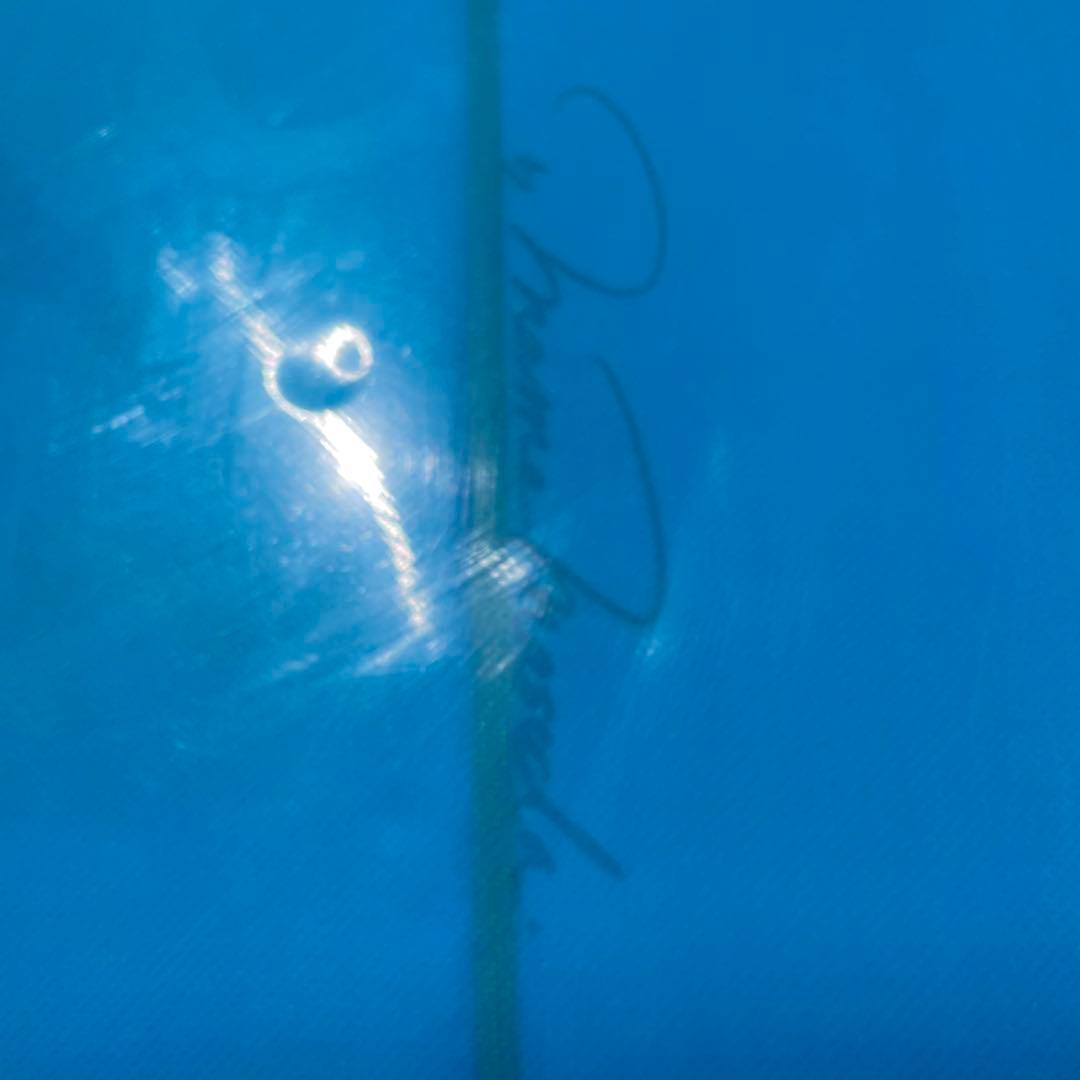 anelaサーフボードロングマメ増田シェイプ 9.4フィート284.5cm - メルカリ