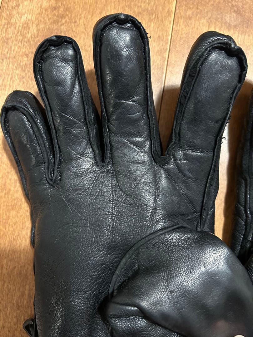 HESTRA へストラグローブ　スキーグローブ