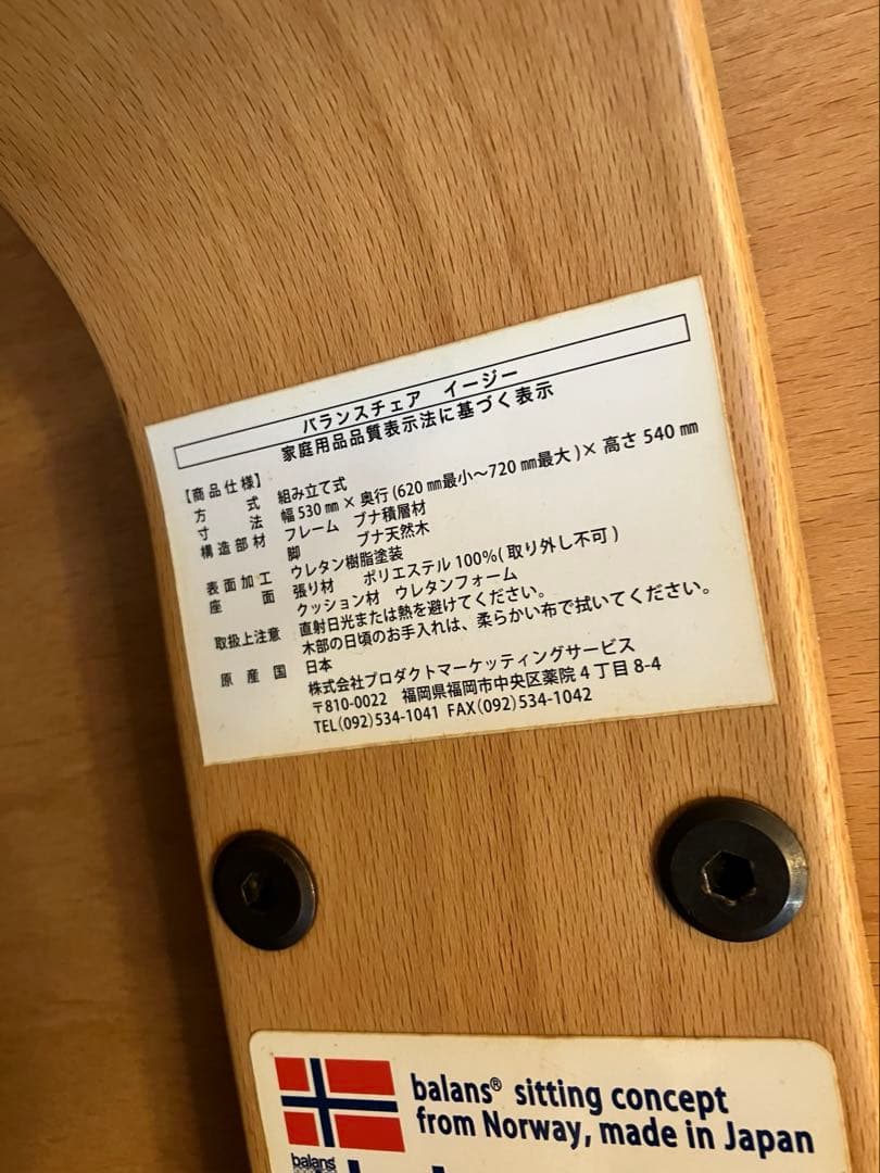 バランスチェア・イージー　専用カバーつき　バランスラボ