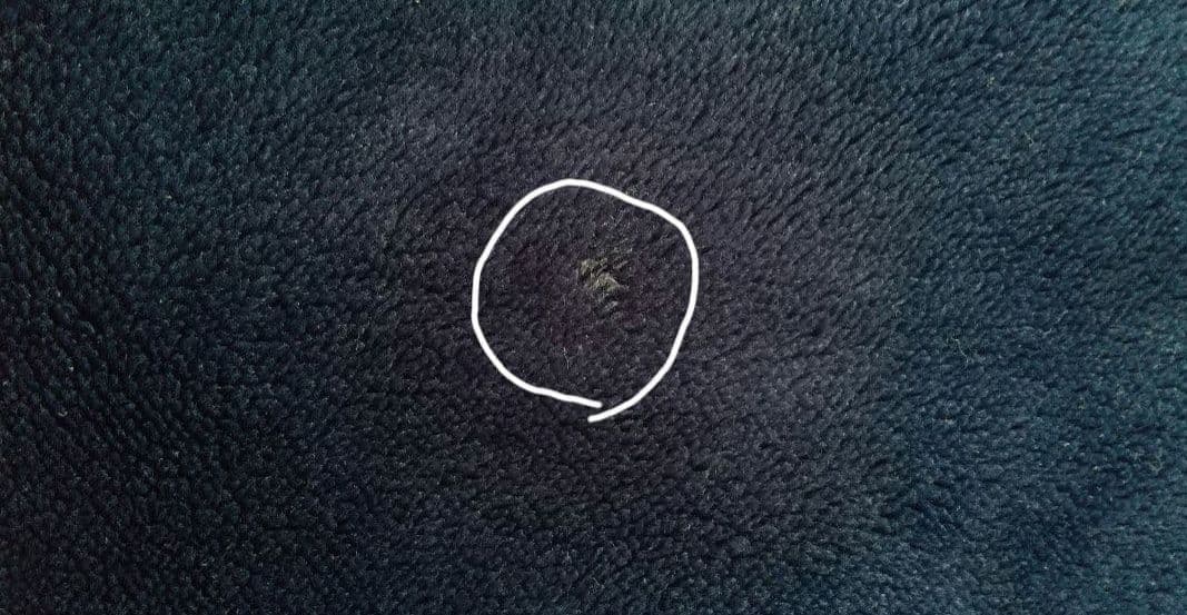 ファイテン×ANA コラボ 毛布 シングル 140×200 日本製