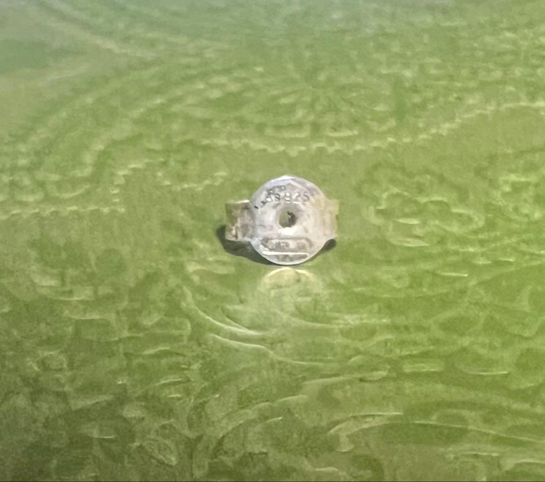 【確実正規品】　GUCCI GG ロゴピアス　片耳