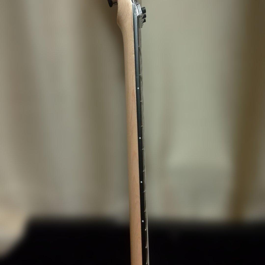 ESP MAVERICK マーベリック チタンメタル ローズウッド